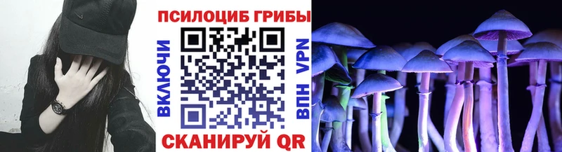 Псилоцибиновые грибы прущие грибы  цены   Зеленоградск 